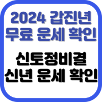 2024년 갑진년 용띠해 무료 운세 사이트
